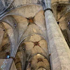 Meet your Posher, Alida